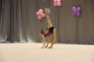 В Великих Луках завершился первый день соревнований Открытого Первенства города по художественной гимнастике (ФОТО) (0+))