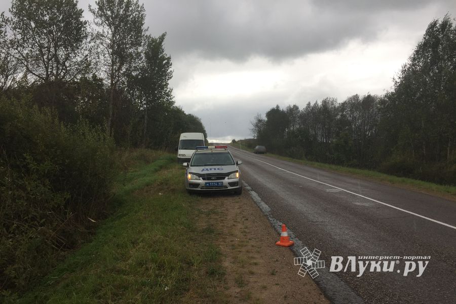 В Великолукскои районе машина вылетела в кювет и перевернулась (ФОТО)