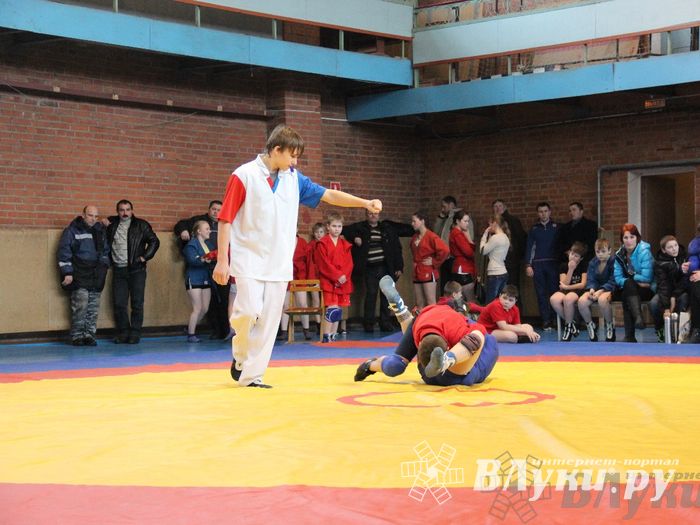 Состоялось Открытое первенство города Великие Луки по борьбе самбо