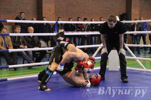 В Великих Луках прошел межрегиональный Открытый Кубок по смешанному боевому единоборству (фото)