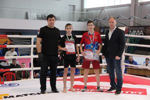 Открытый кубок по смешанному боевому единоборству ММА прошел в Великих Луках (ФОТО)