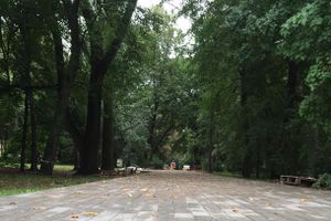В Великих Луках продолжают благоустраивать городской парк (фоторепортаж)