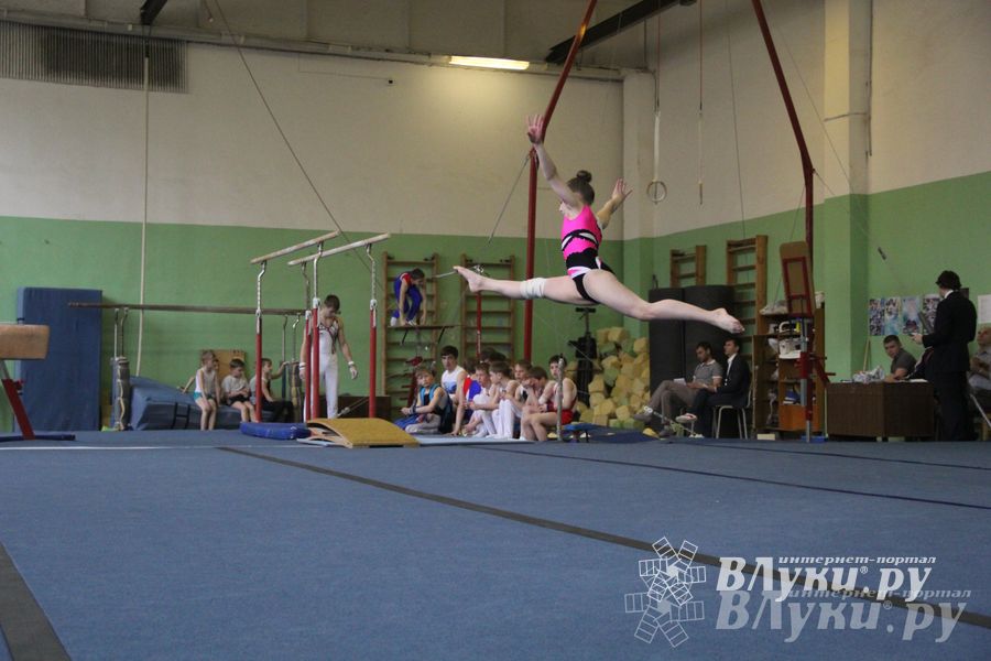 В Великих Луках прошел турнир по спортивной гимнастике (фото)