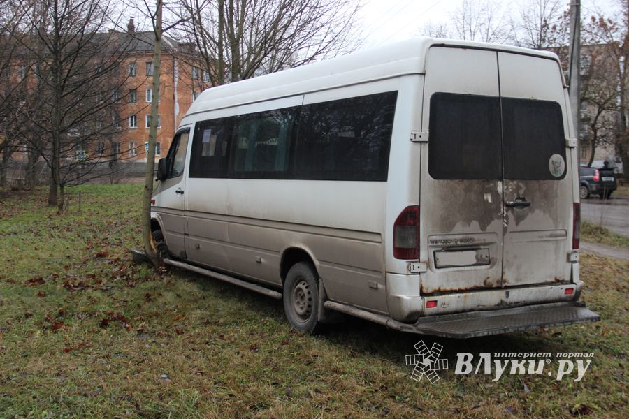 На улице Пушкина водитель врезался в дерево (ФОТО)