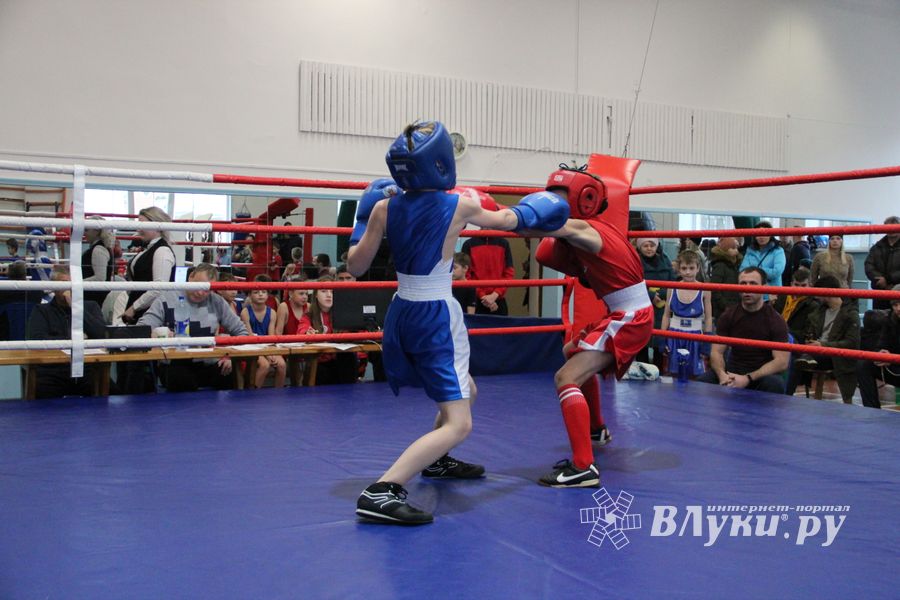 В Великих Луках завершились соревнования по боксу (ФОТО)