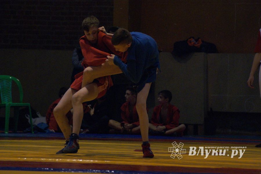 Великолучане завоевали призовые места на турнире по самбо «Память» (ФОТО)