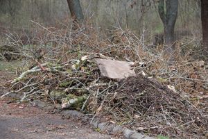 На острове Дятлинка проходит субботник