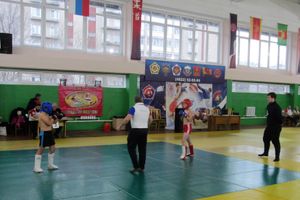 Великолукские каратисты отличились на Кубке ДОСААФ в Твери (ФОТО)