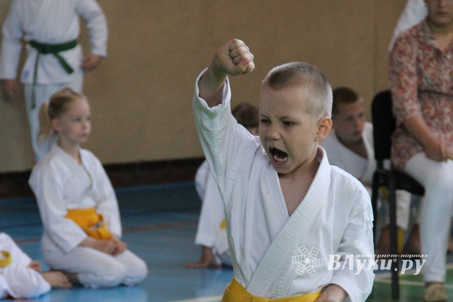 Турнир по каратэ