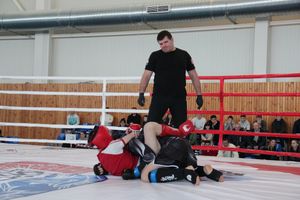 В Великих Луках проходит открытый кубок по смешанному боевому единоборству ММА (ФОТО) (12+)