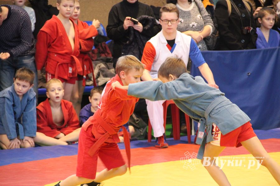 В Великих Луках проходит турнир самбистов (ФОТО)