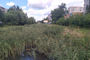 Великолучанка написала губернатору про «загубленную речушку» (ФОТО)