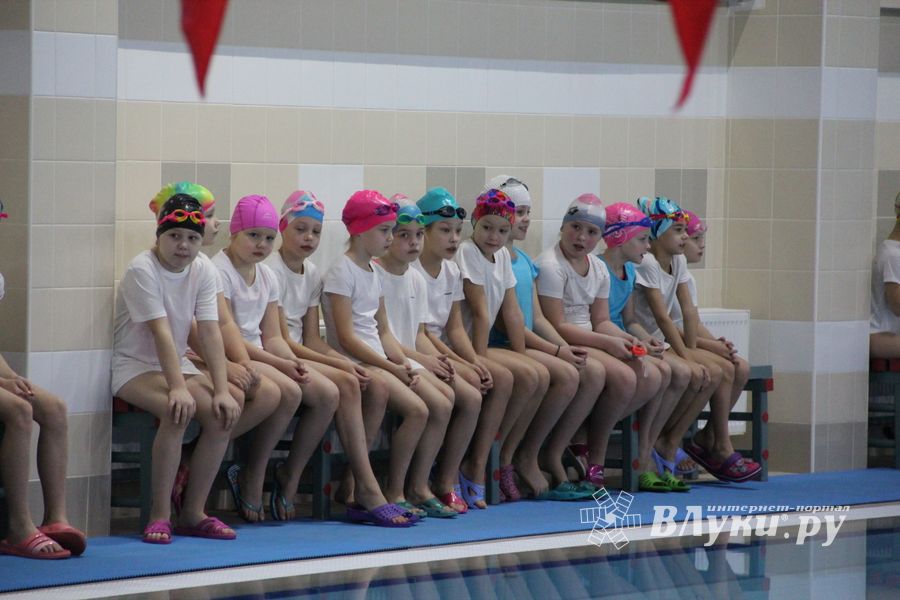 Соревнования по плаванию на призы Деда Мороза прошли в Великих Луках (ФОТО)