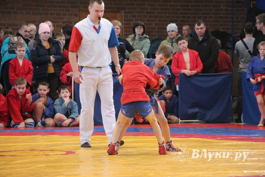 Великолучане завоевали награды турнира по самбо «Память» (ФОТО)
