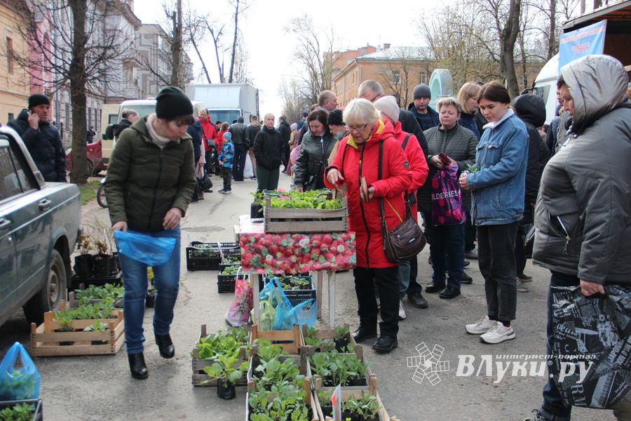 В Великих Луках прошла ярмарка «Весна - 2022» (ФОТО)
