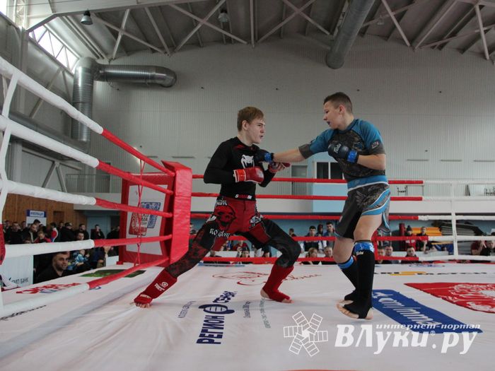 Открытый кубок по смешанному боевому единоборству ММА прошел в Великих Луках (ФОТО)