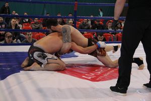 В Великих Луках завершился открытый кубок по смешанному боевому единоборству ММА (ФОТО)