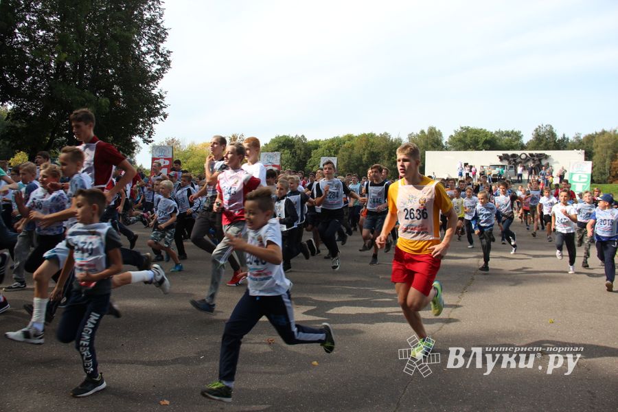 В Великих Луках прошёл «Кросс Нации-2018» (ФОТО)