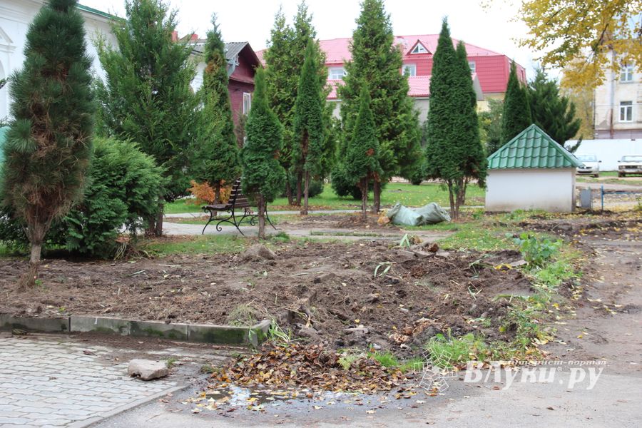 Куда исчезли пихты у Свято-Вознесенского собора в Великих Луках