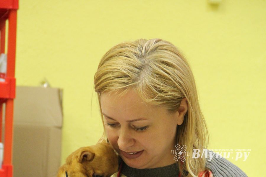 Всероссийская выставка собак «Великие Луки — 2014»