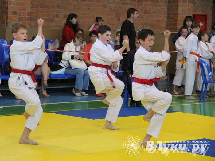 Великолучане стали победителями турнира по каратэ «Неприкосновенный запас, дети — Отчизны 2015» (фото)