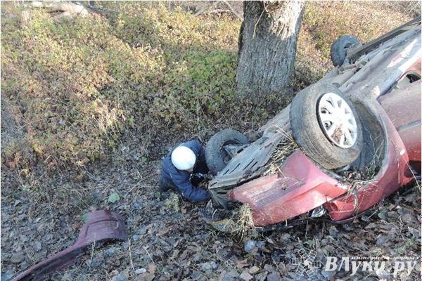 За неделю на дорогах Псковской области погибло 5 человек (фото)