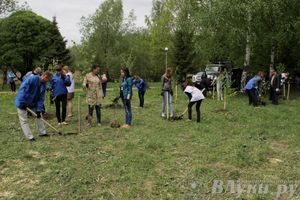 В Великих Луках посадили берёзы в рамках Всероссийской акции (ФОТО)