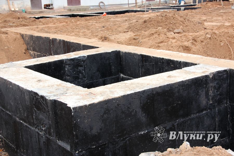 В скором времени нерадивых великолучан станет проще изолировать (ФОТО)