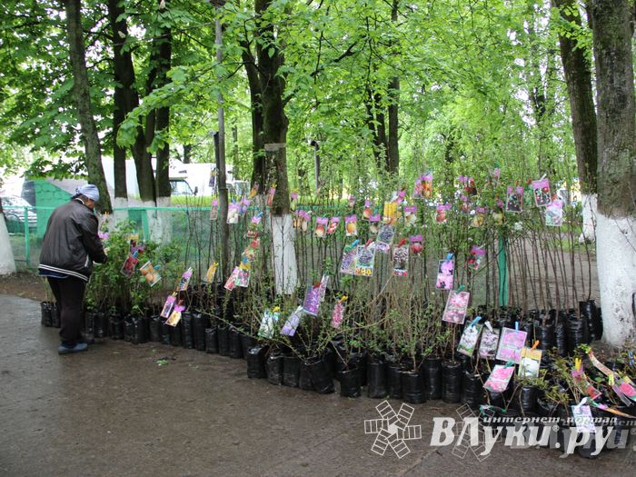 В Пскове проходит 22-ая универсальная выставка (фото)