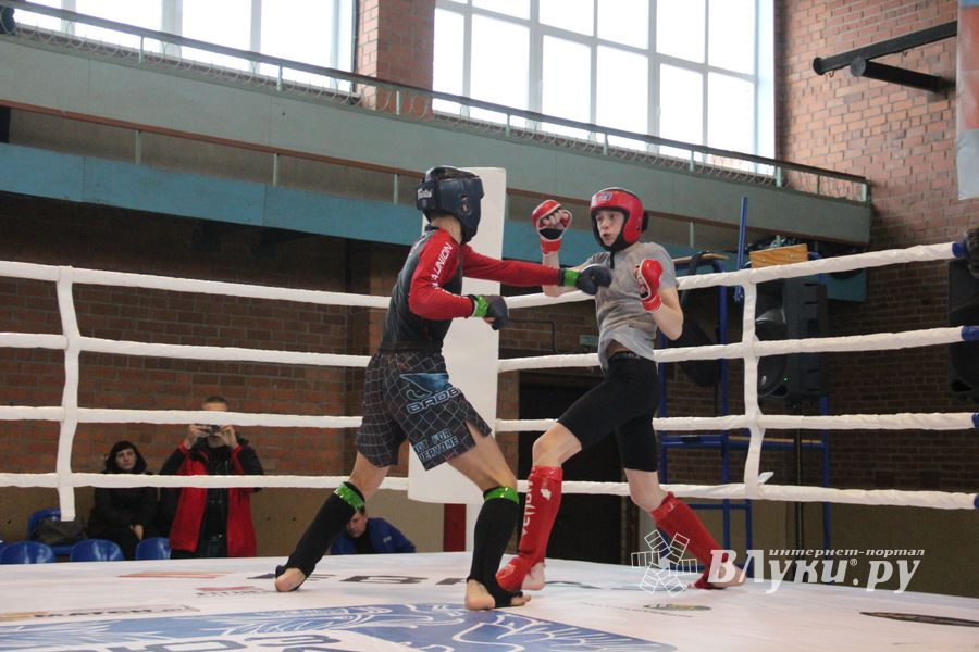 В Великих Луках прошел международный открытый Кубок по смешанному боевому единоборству (ФОТО) (16+)