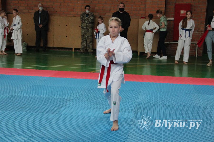 Открытый Кубок города Великие Луки по каратэ WKF (ФОТО)