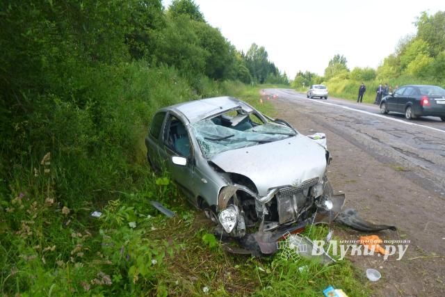 В Псковской области женщина за рулем Тойоты улетела в кювет вместе с маленькими детьми (фото)