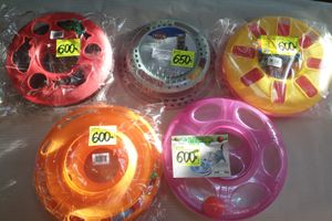 1 марта - ваш кот заслуживает подарок