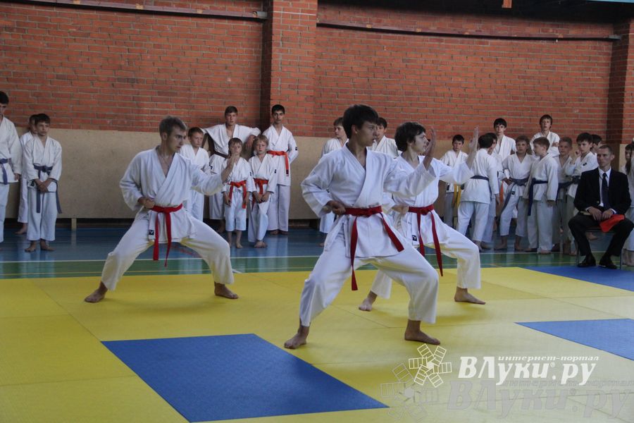 Турнир по каратэ