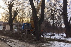 В Великих Луках удаляют угрожающие гражданам ветви (ФОТО)