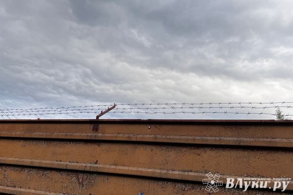 Житель области отправился в колонию за незаконный сбыт наркотиков