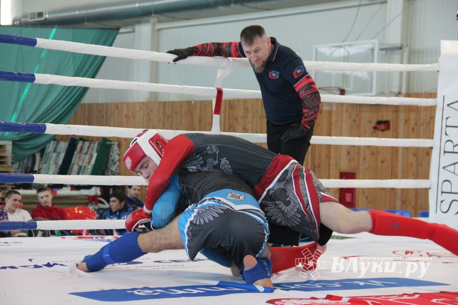 В Великих Луках завершилось Первенство России среди юношей по смешанному боевому единоборству ММА (ФОТО)