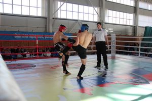 В Великих Луках прошел Кубок области по кикбоксингу (ФОТО)