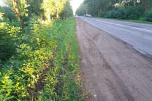 Смертельное ДТП в Великолукском районе (ФОТО)