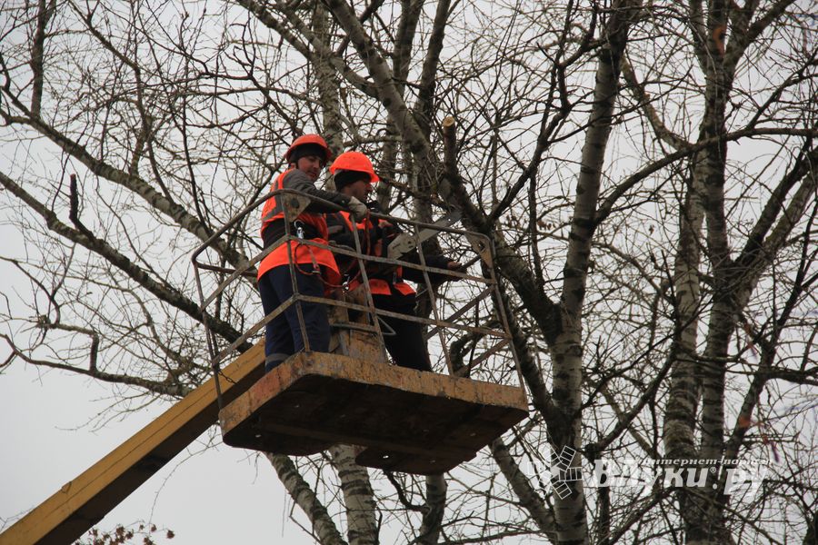 Возле железнодорожной больницы облагораживают сквер (ФОТО)