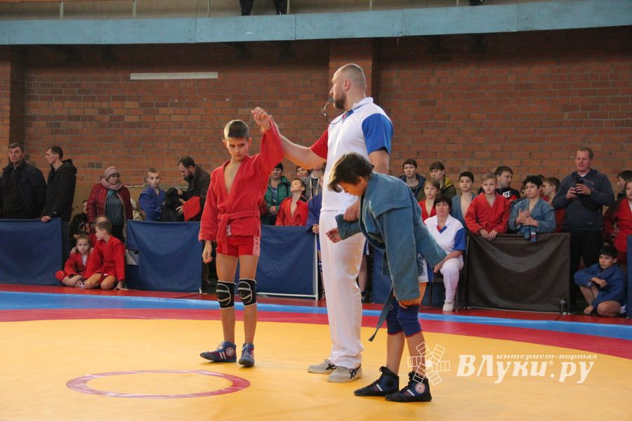 Великолучане завоевали награды турнира по самбо «Память» (ФОТО)