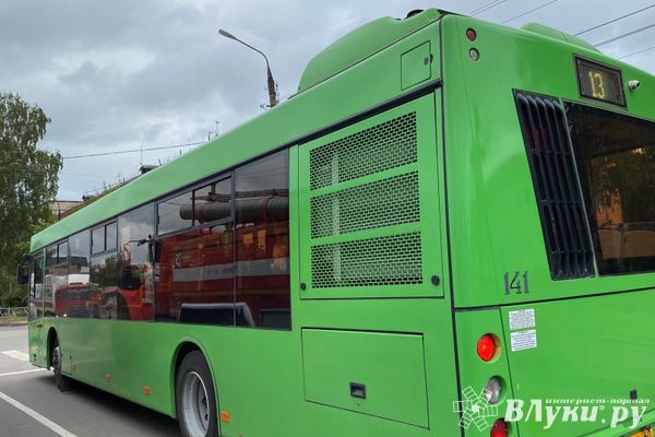 Жители Псковской области оформили более 2,5 тысяч льготных проездных к месту лечения