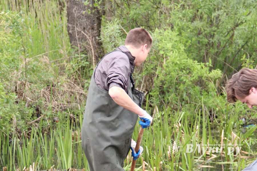 «Партия Дела» делает дело
