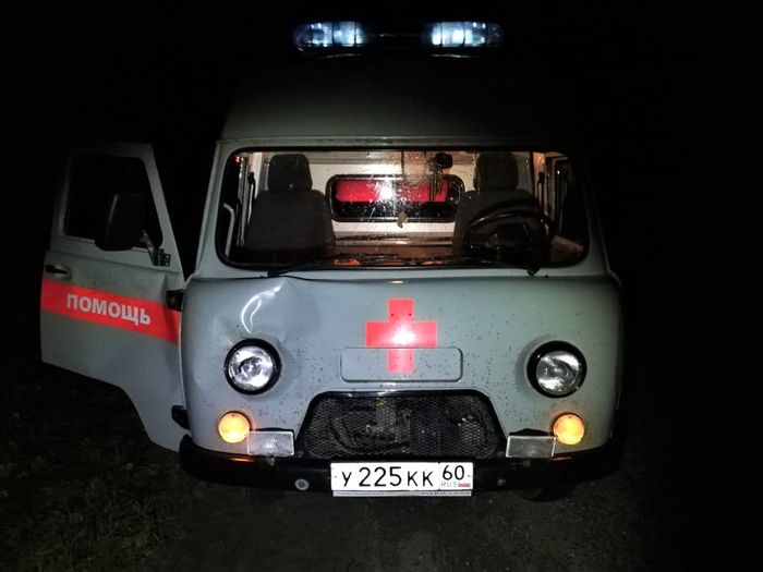 В Великолукском районе лось спровоцировал ДТП (ФОТО)