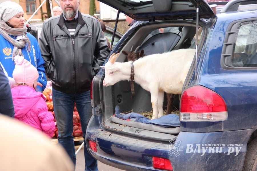 В Великих Луках проходит Весенняя ярмарка