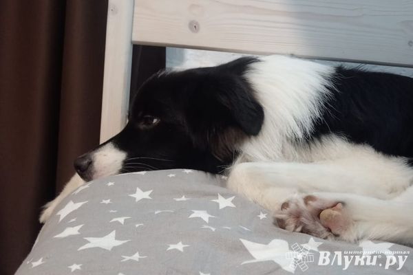 Прогноз погоды в Великих Луках на 10 ноября