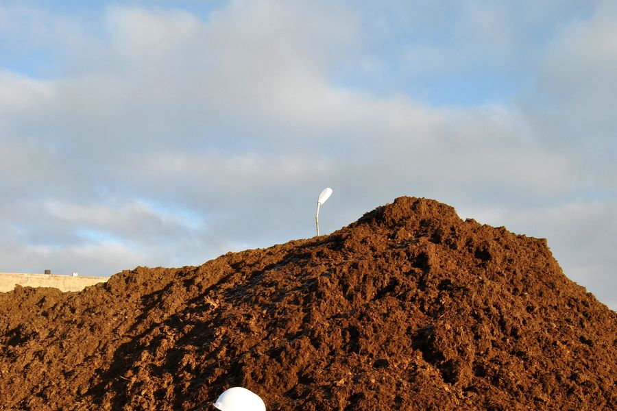 Студенты ВГСХА посетили ООО «Велторф» (ФОТО)