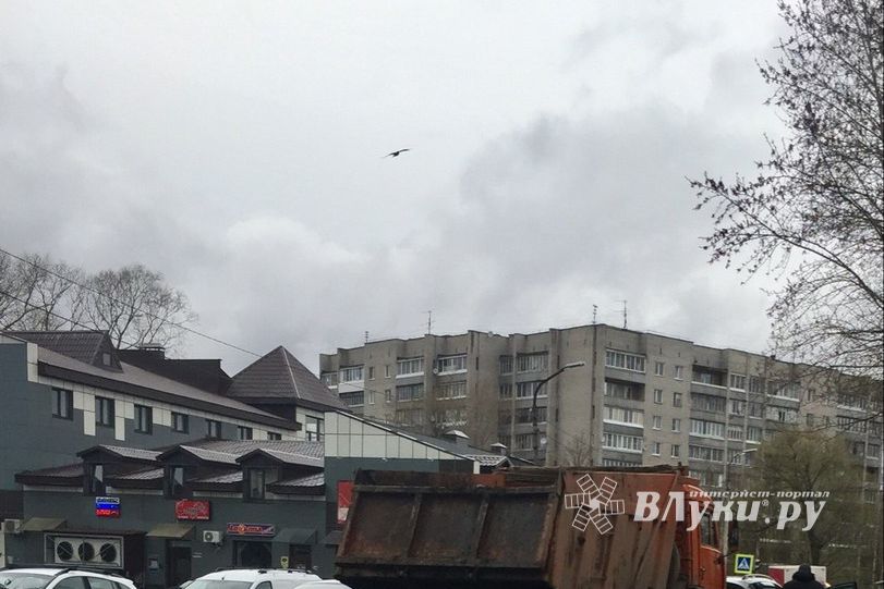 Фотофакт: ДТП в Великих Луках