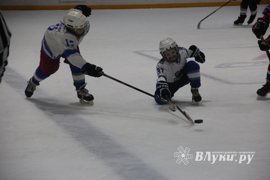 В Великих Луках прошел детский Открытый турнир по хоккею (ФОТО)