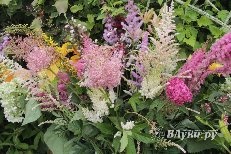 «Парад детских колясок» в День семьи, любви и верности (ФОТО)